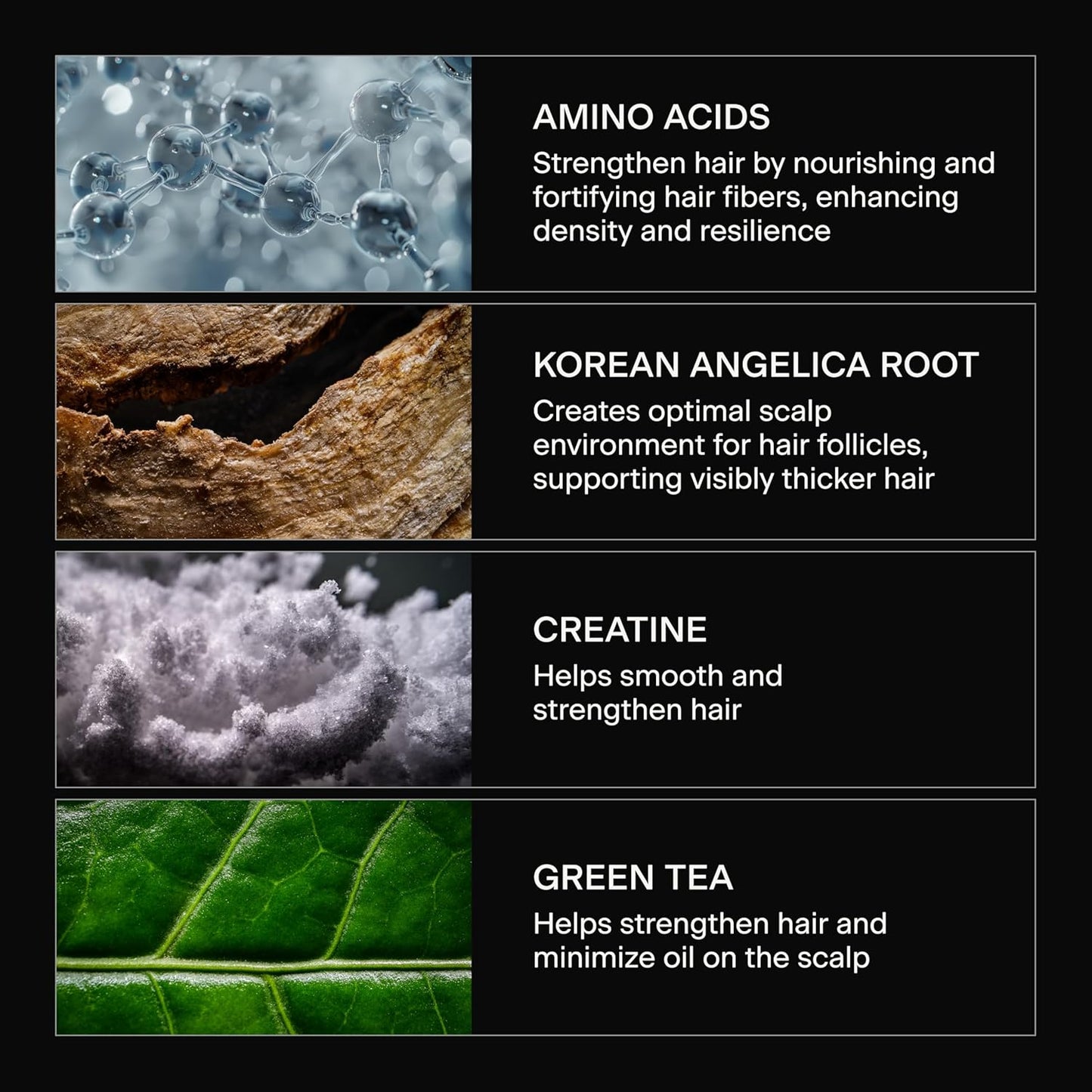 Caldera + Lab hair care ingredients graphic featuring amino acids, Korean angelica root, creatine, and green tea for thicker stronger healthier-looking hair.