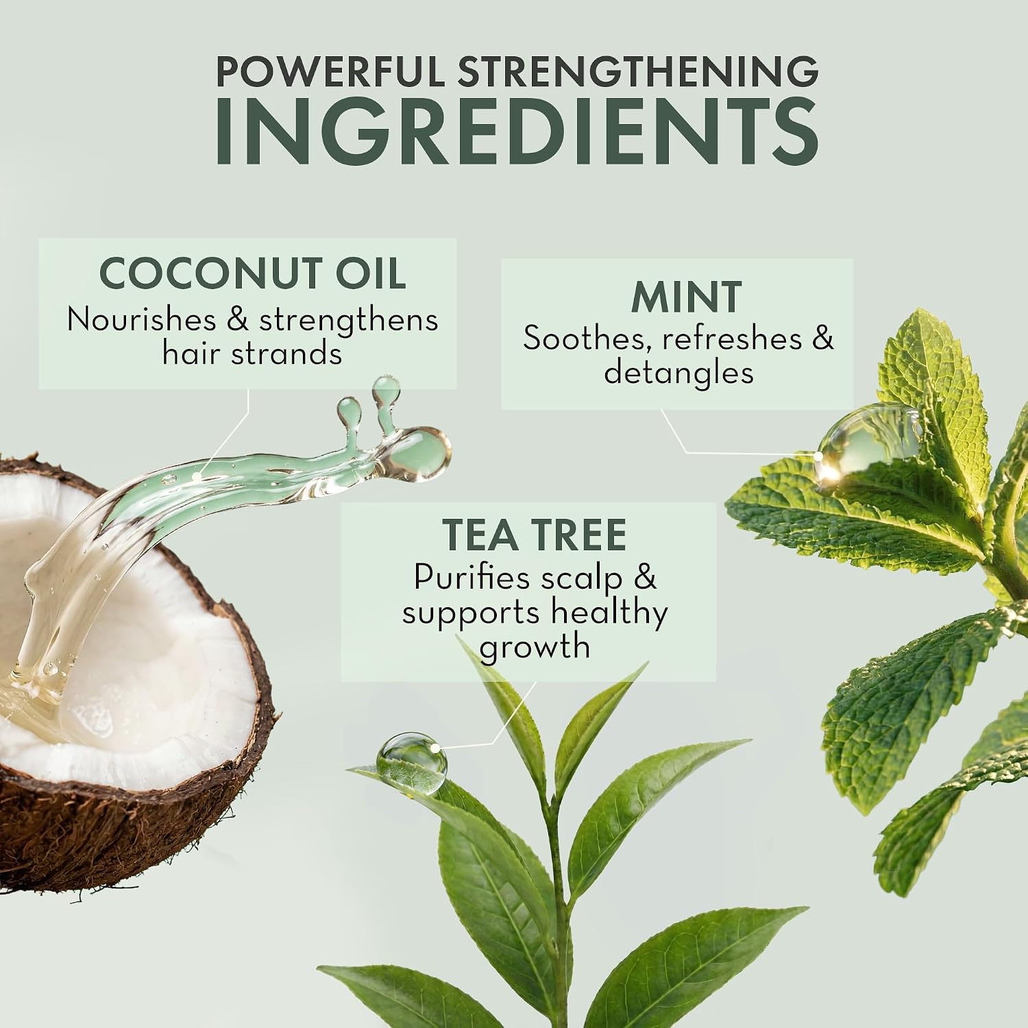 PHARM TO TABLE Tea Tree Scalp Relief Leave In Conditioner 8 oz product image 4
