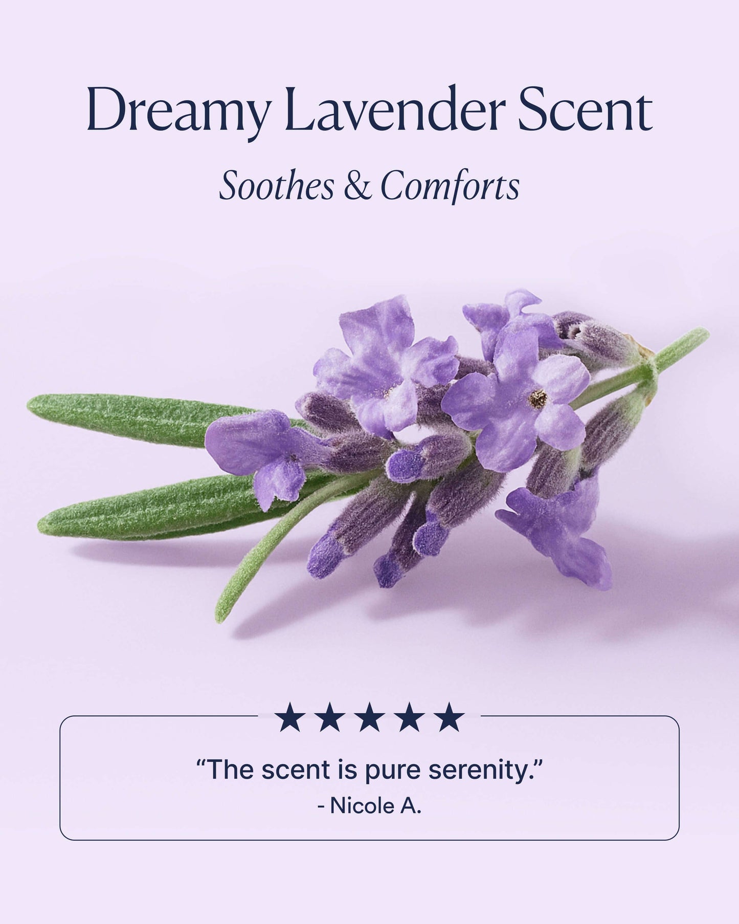 OSEA Dream Bio-Retinol Body Serum lavender scent education image