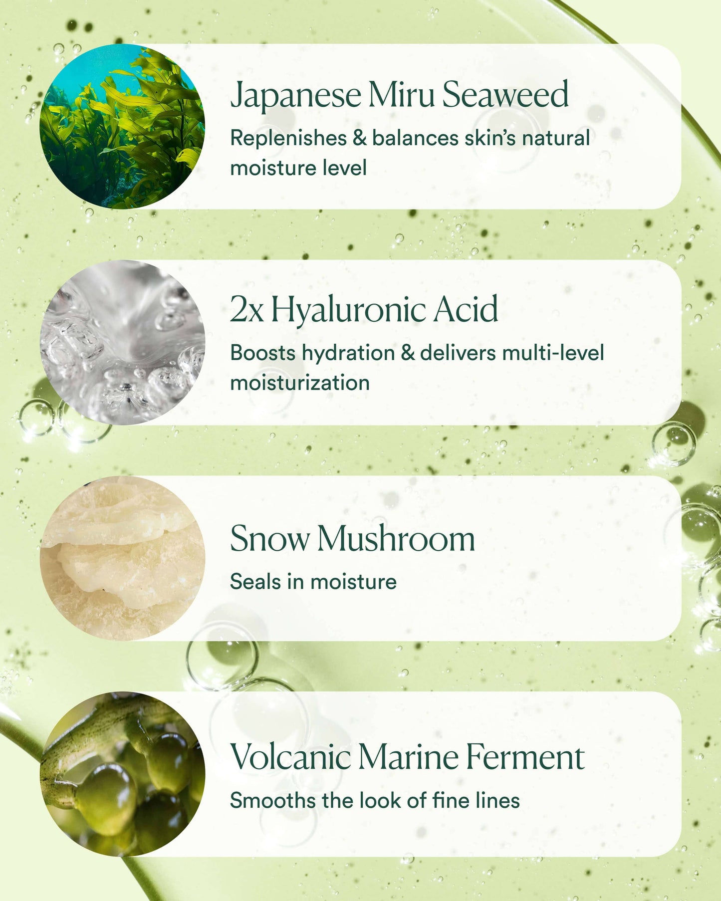 OSEA Hyaluronic Sea Serum key ingredients with hyaluronic acid seaweed and snow mushroom