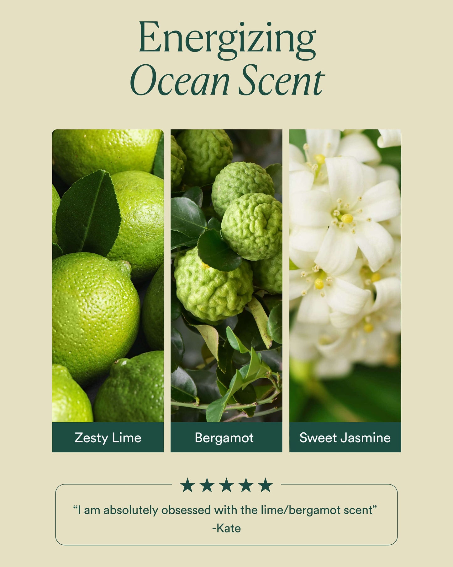 OSEA Ocean Wave Cleanser fresh clean scent education image