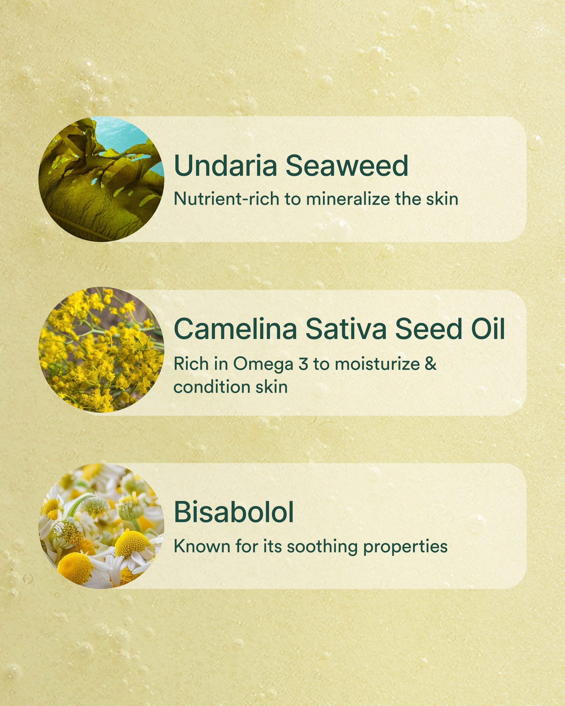 OSEA Ocean Wave Cleanser ingredients with Undaria seaweed and botanical oils