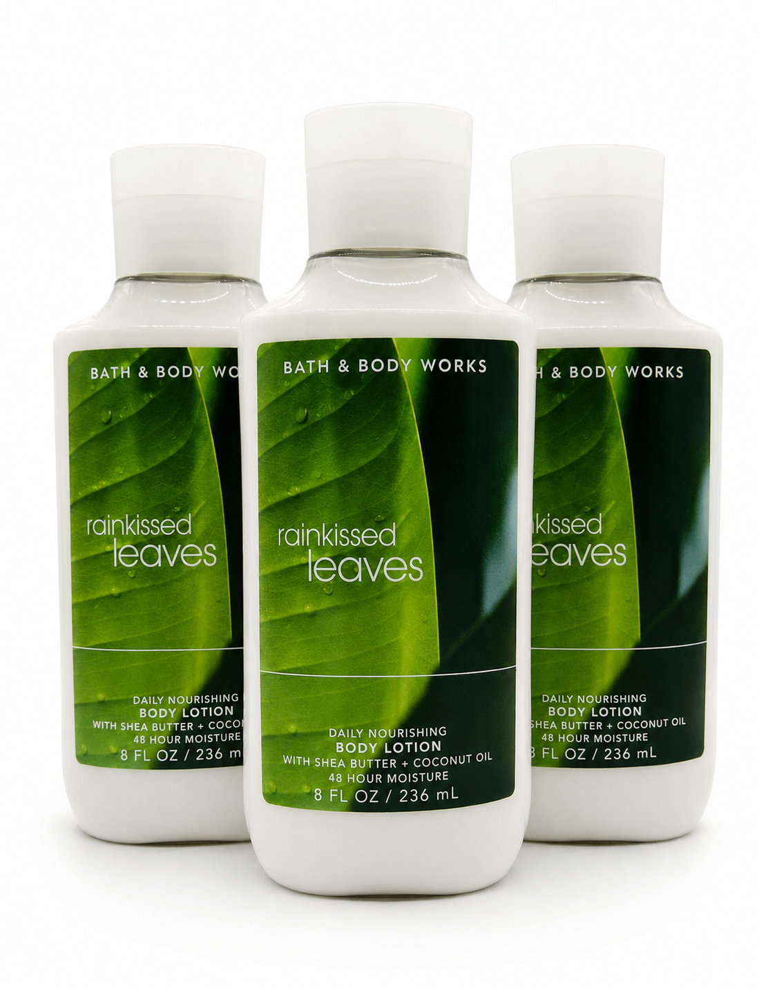 Three Bath & Body Works RAINKISSED LEAVES body lotion 8 oz bottles