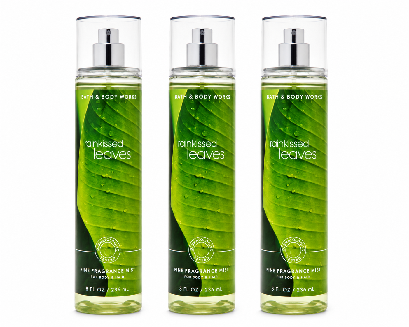 Bath & Body Works RAINKISSED LEAVES Fine Fragrance Mist 3-Pack 8 oz bottles featuring a clean green botanical fragrance inspired by fresh rain and lush leaves on a pure white background for online shopping and gifting