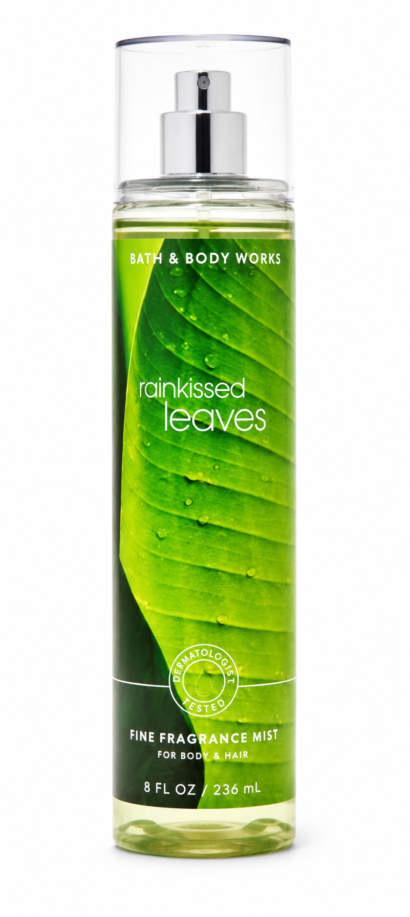 Bath & Body Works RAINKISSED LEAVES Fine Fragrance Mist 8 oz single bottle featuring a fresh green botanical fragrance inspired by rain-kissed leaves on a pure white background
