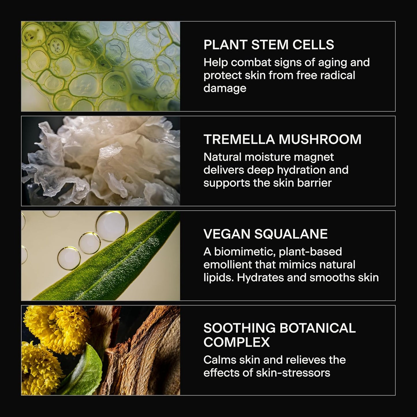 Caldera + Lab The Base Layer ingredient benefits featuring plant stem cells tremella mushroom vegan squalane and soothing botanical complex for hydrated smoother skin.