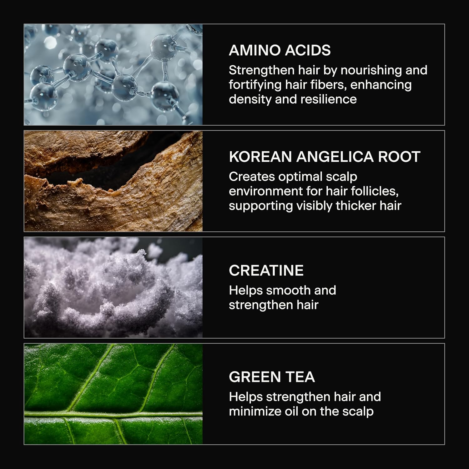 Caldera + Lab hair care ingredients graphic featuring amino acids, Korean angelica root, creatine, and green tea for thicker stronger healthier-looking hair.