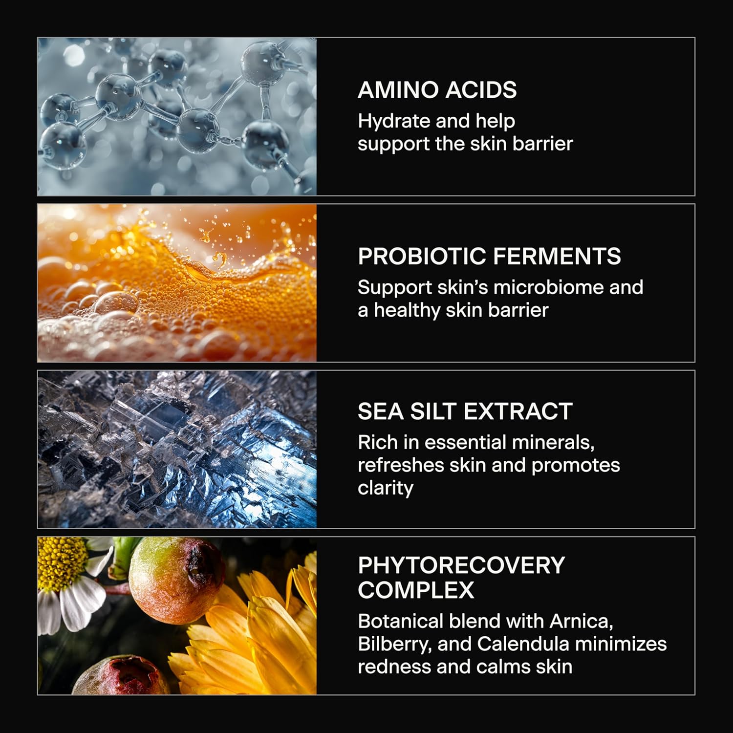 Caldera + Lab The Clean Slate ingredient infographic highlighting amino acids probiotics sea salt extract and phytoactive recovery complex.