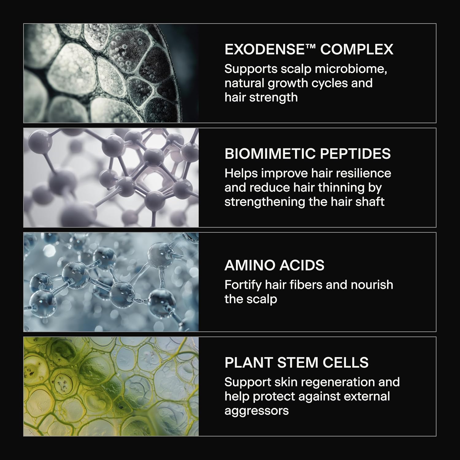Caldera + Lab The Hair Serum ingredient technology infographic featuring premium botanical ingredients for hair and scalp health.