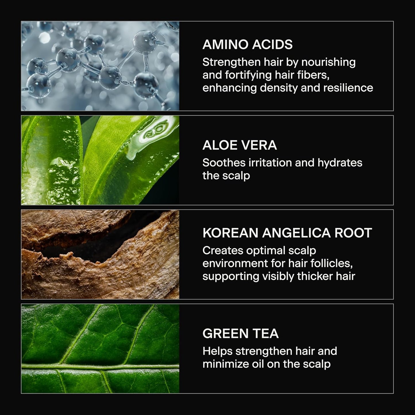 Caldera + Lab The Shampoo ingredient infographic featuring amino acids Korean angelica root creatine and green tea for healthier hair.
